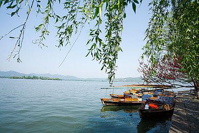 Toys For Bob有意接手开发《班卓熊大冒险》系列